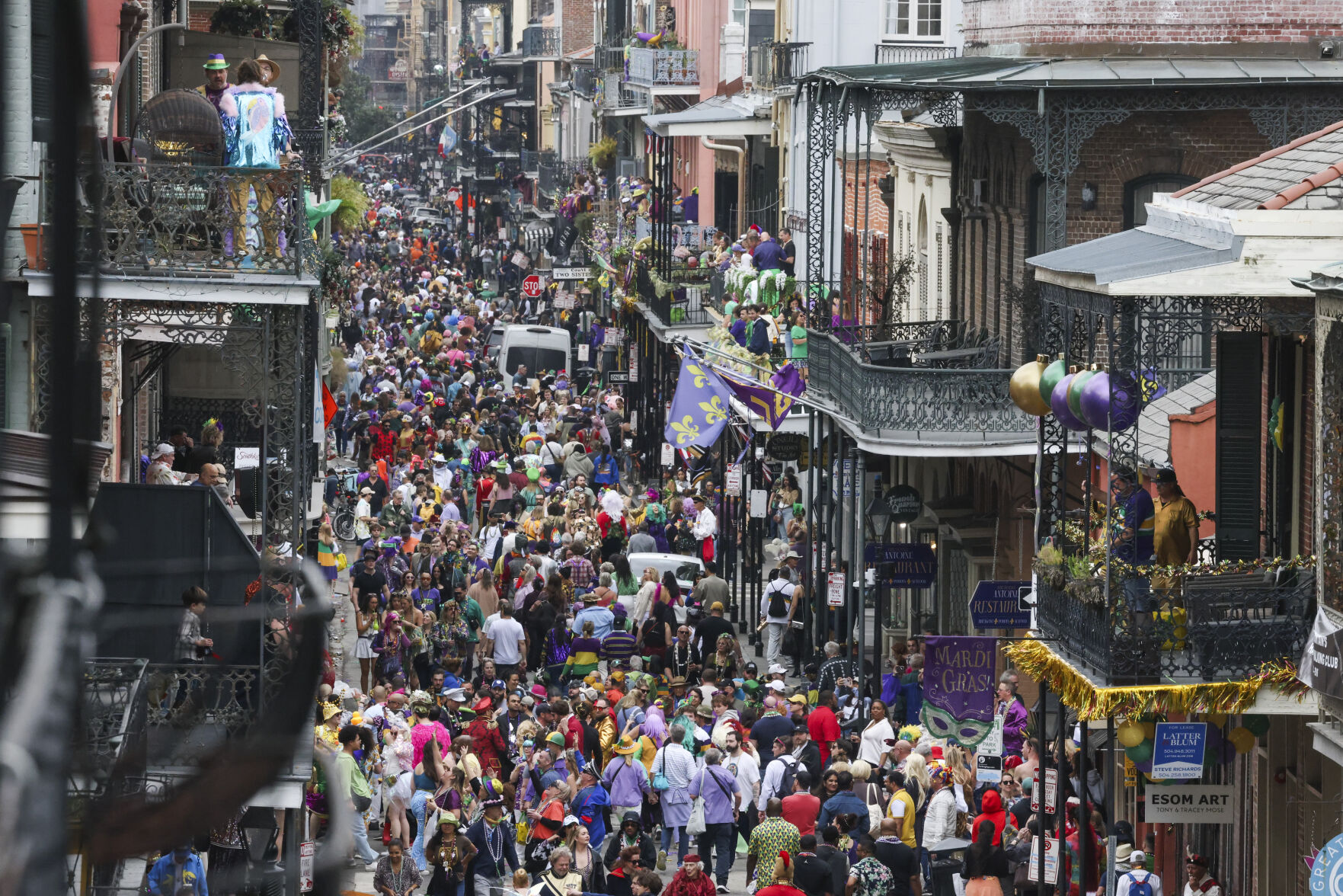 NO.mardigrascostumes.030525.051.jpg